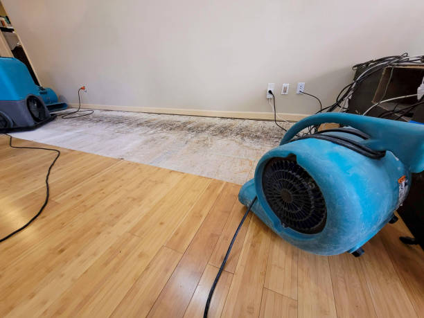Professional Flood Damage Cleanup technician working in Derwent, OH
